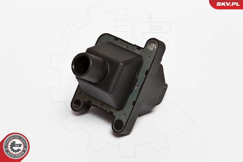 Ignition Coil 03SKV016