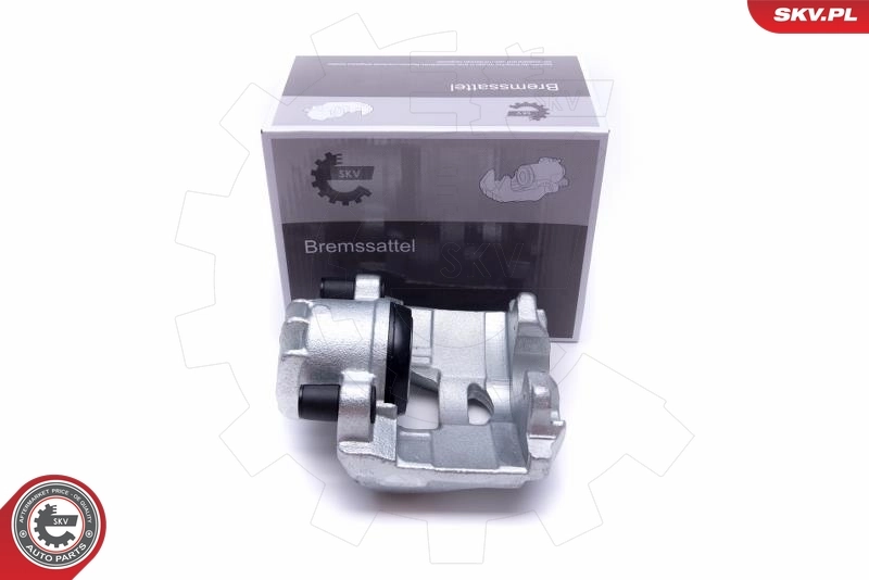 Brake Caliper 55SKV812