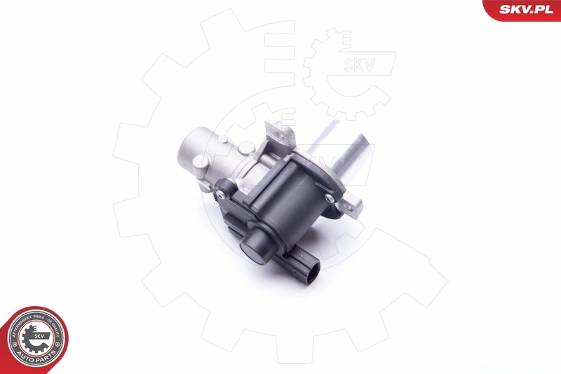 EGR Valve 14SKV163