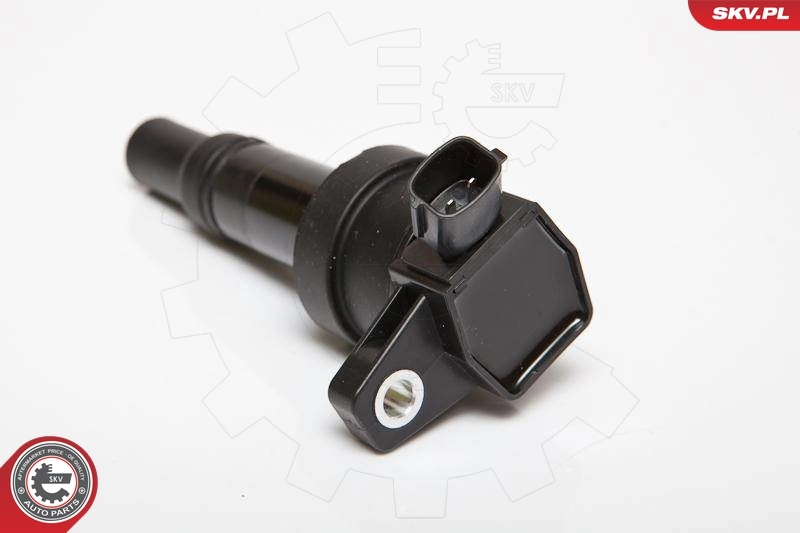 Ignition Coil 03SKV201