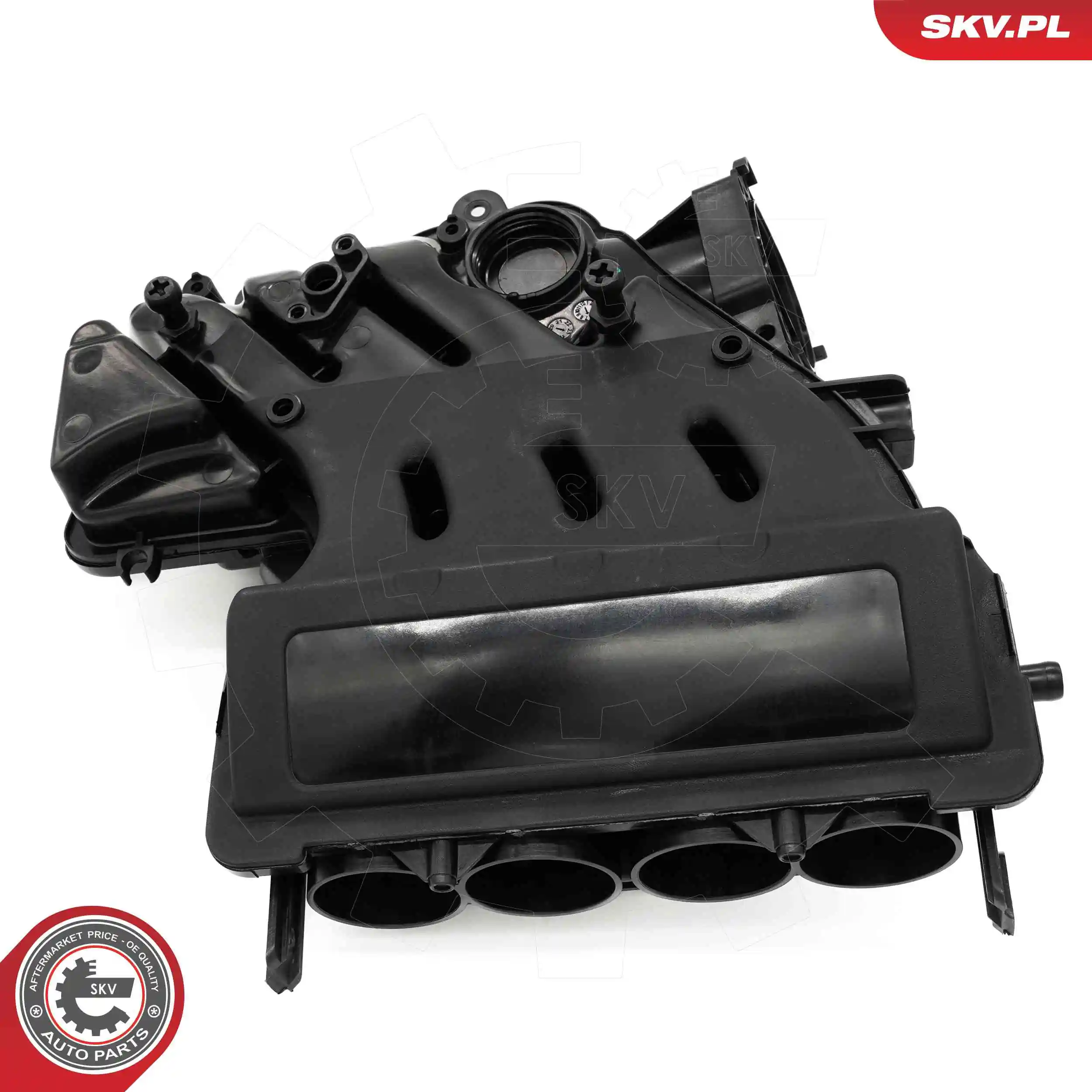 Intake Manifold Module 49SKV088