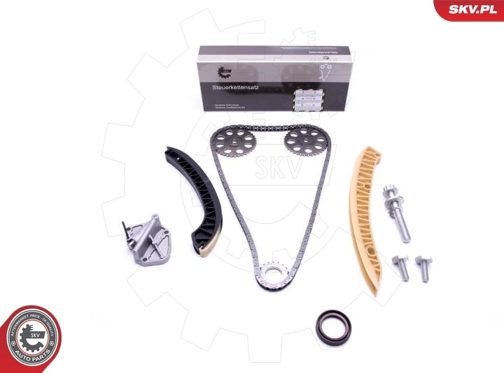 Timing Chain Kit 21SKV177