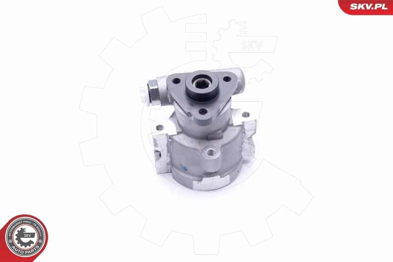 Hydraulic Pump, steering 10SKV252