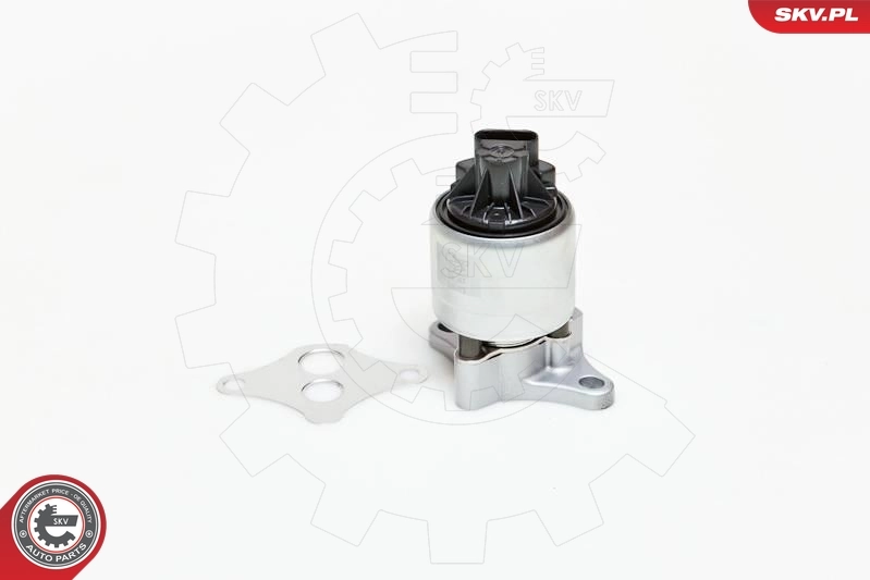 EGR Valve 14SKV037