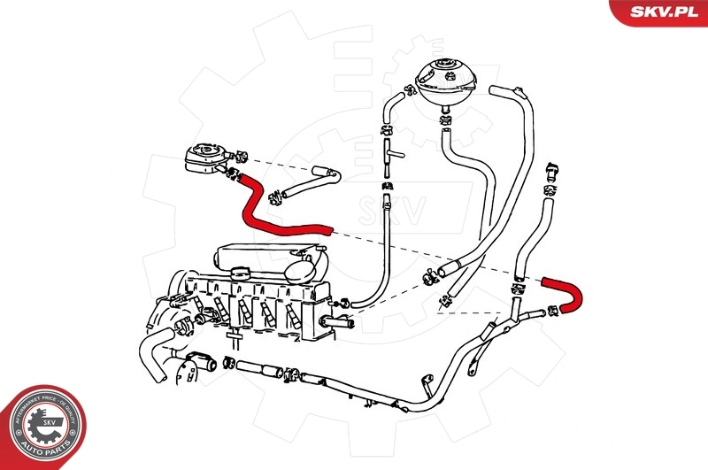 Radiator Hose 24SKV363