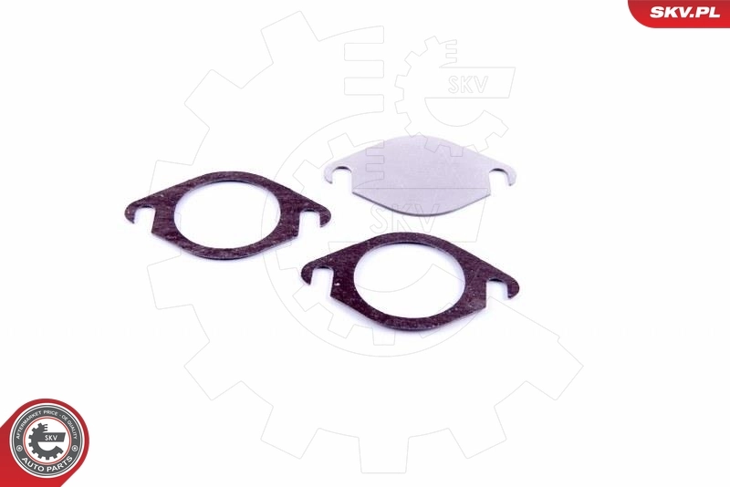 ESEN SKV 14SKV568 Repair Set, EGR valve