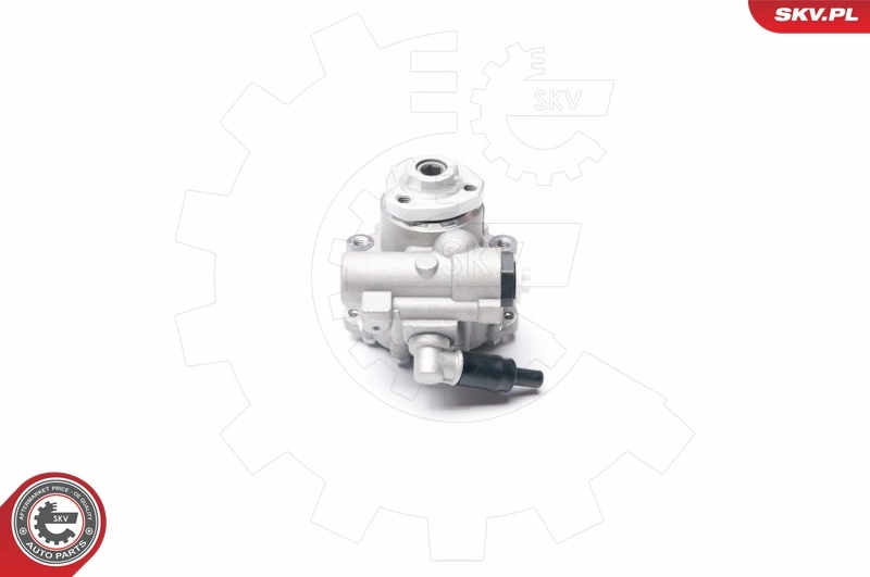 Hydraulic Pump, steering 10SKV016