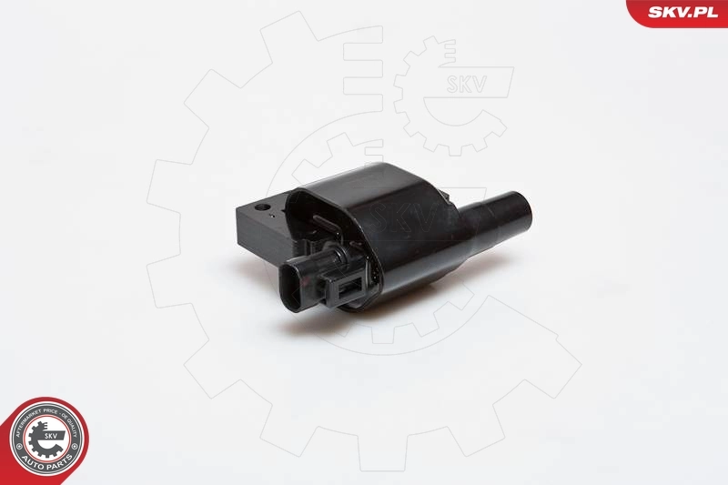 Ignition Coil 03SKV089