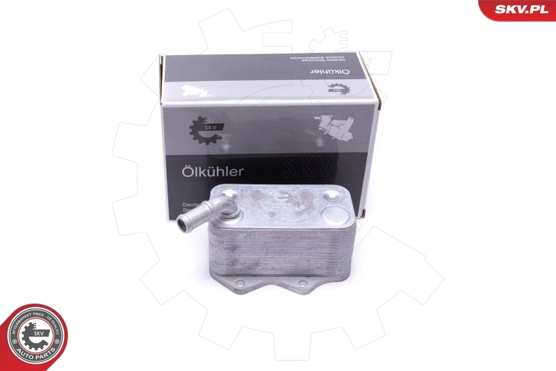 Oil Cooler, engine oil 31SKV206
