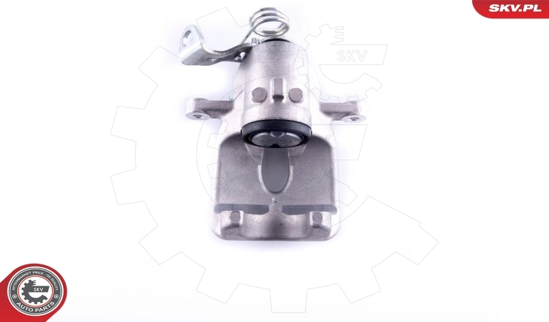 Brake Caliper 55SKV204