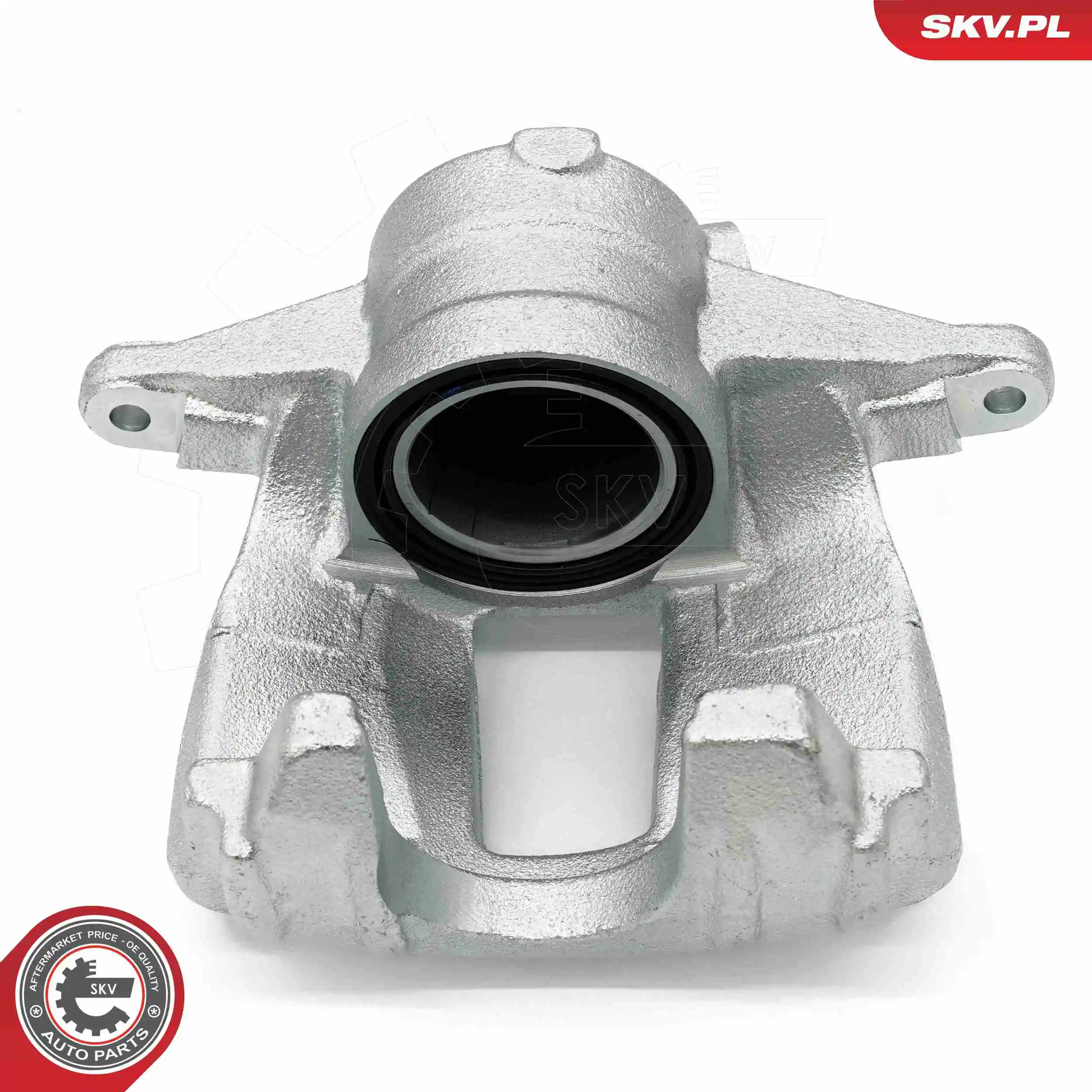 Brake Caliper 67SKV052