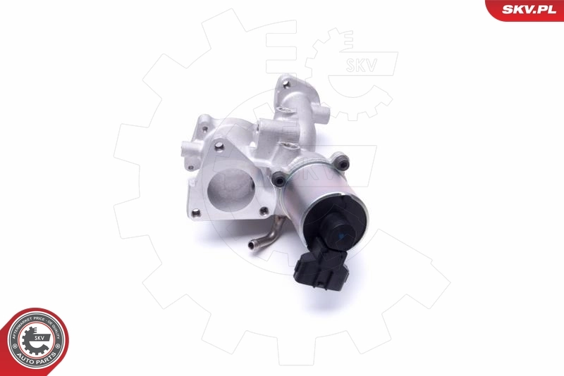 EGR Valve 14SKV167
