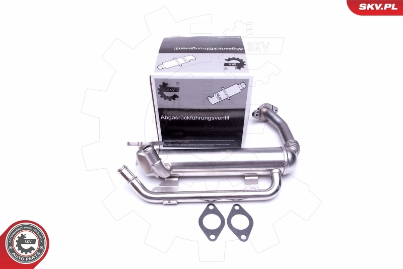 EGR Valve 14SKV223