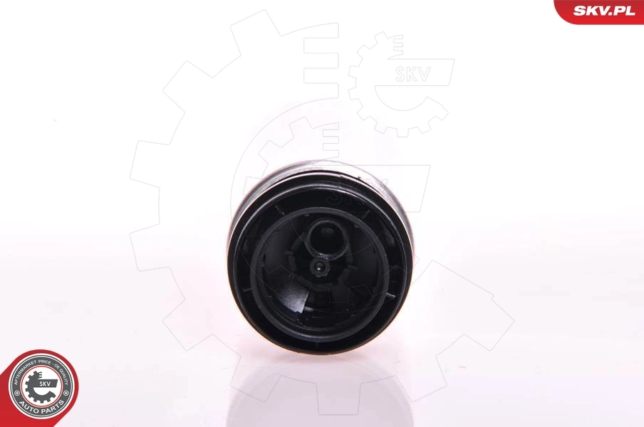 Fuel Pump 02SKV267