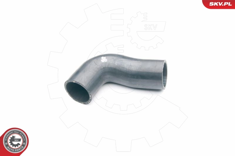 Charge Air Hose 24SKV117