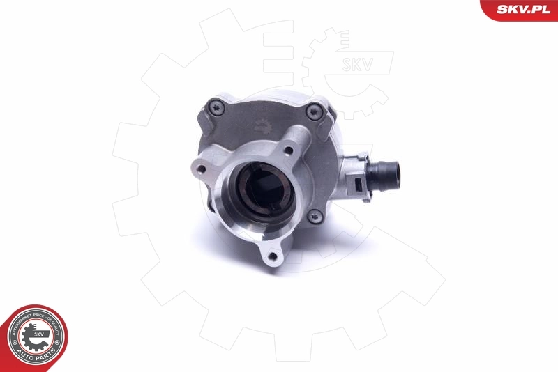 Vacuum Pump, braking system 18SKV022
