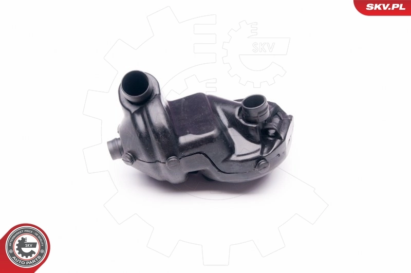 Repair Kit, crankcase ventilation 31SKV045