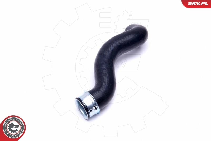 Radiator Hose 43SKV864