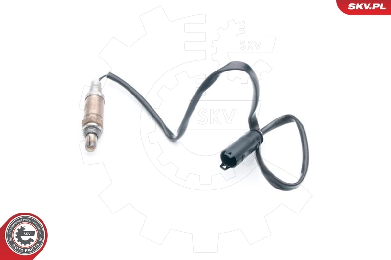 Oxygen Sensor 09SKV724