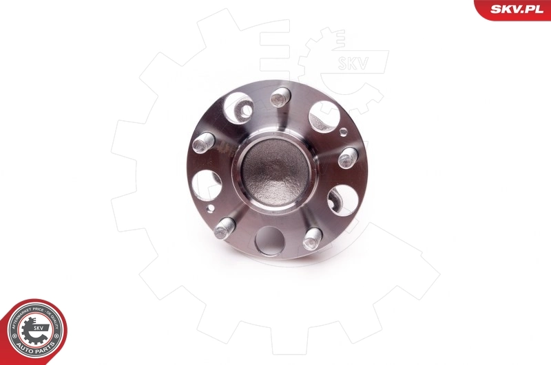 Wheel Bearing Kit 29SKV171