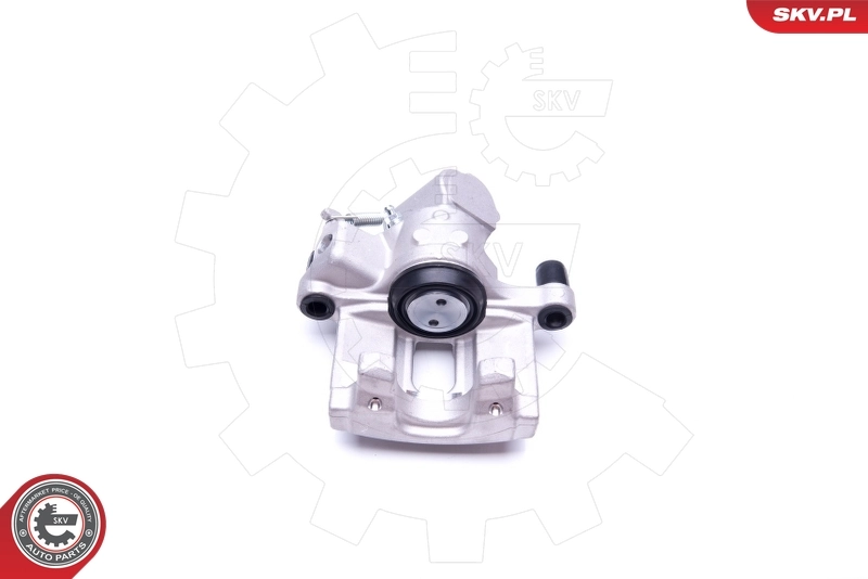 Brake Caliper 42SKV344