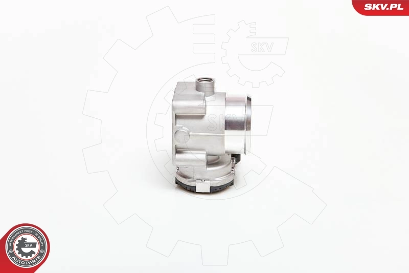 Throttle Body 12SKV039