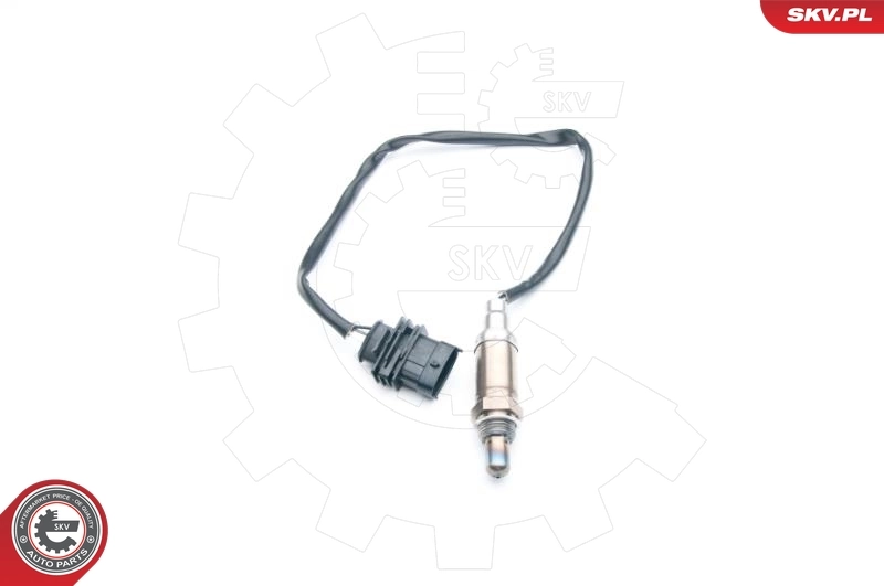 Oxygen Sensor 09SKV669
