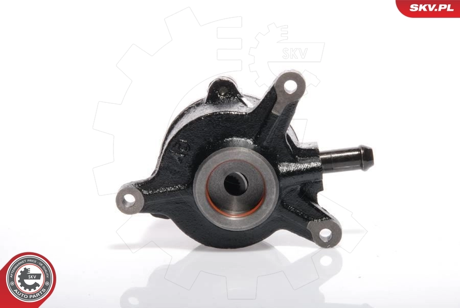 Vacuum Pump, braking system 18SKV010