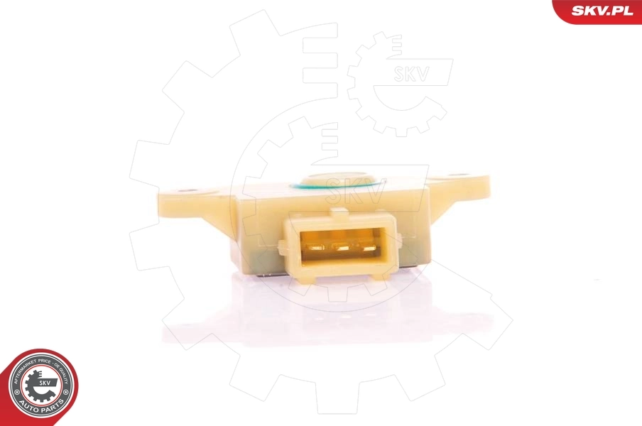 Sensor, throttle position 17SKV009