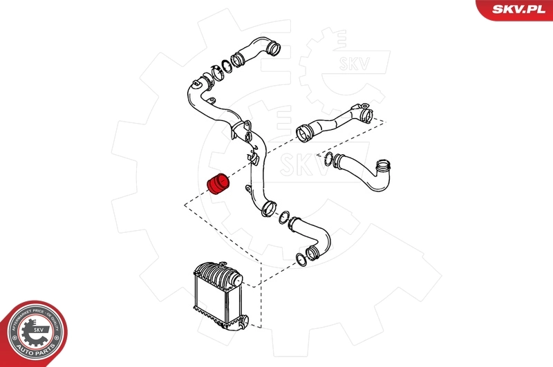 Charge Air Hose 24SKV042