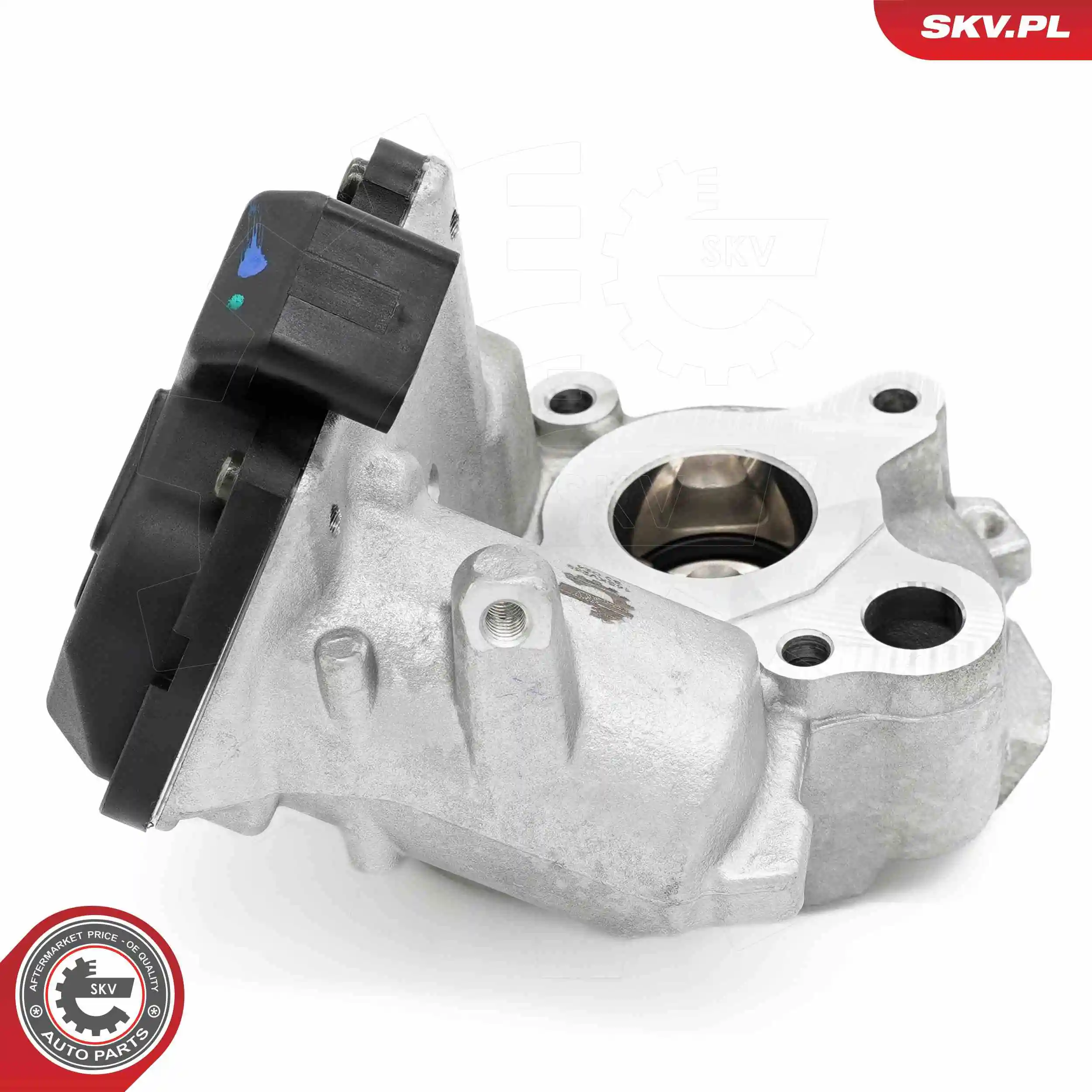 EGR Valve 14SKV259