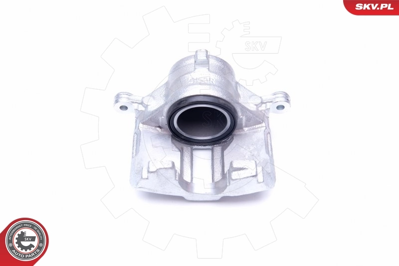 Brake Caliper 42SKV802