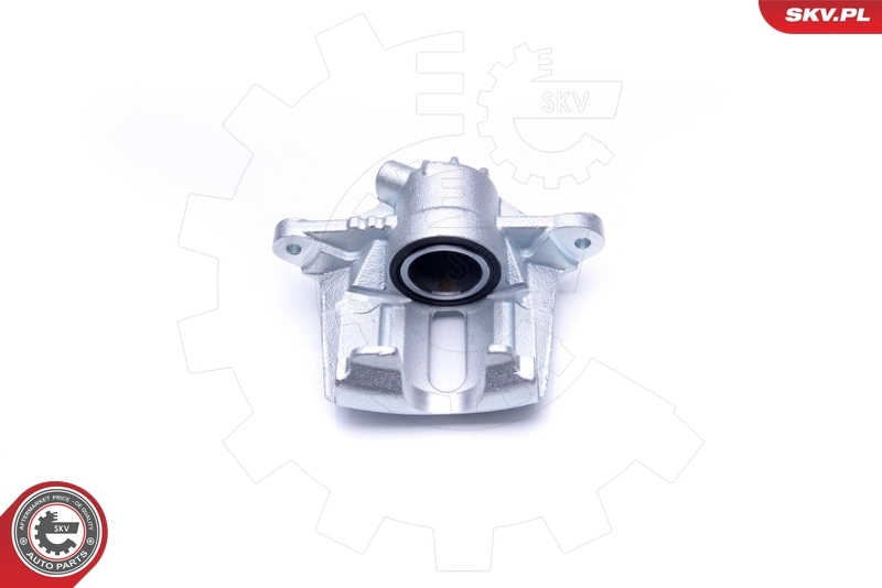 Brake Caliper 42SKV841