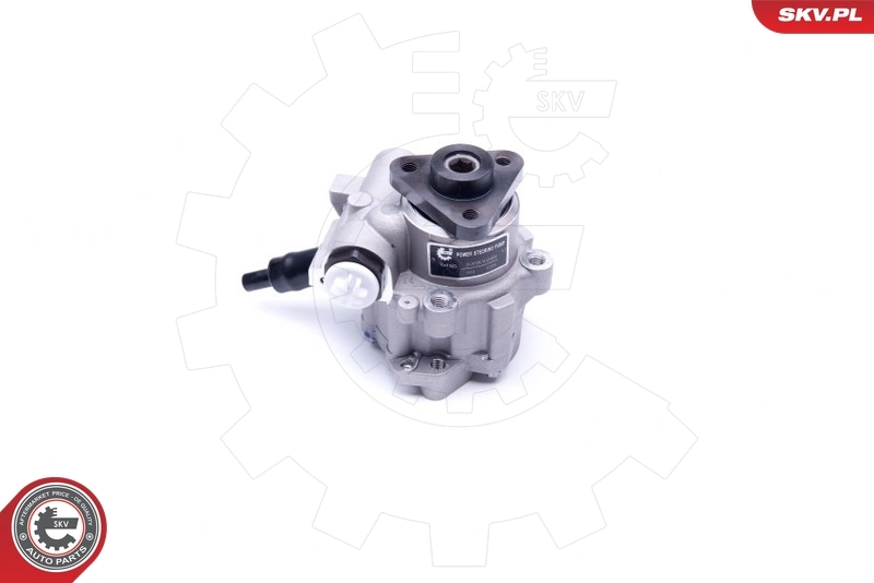 Hydraulic Pump, steering 10SKV249