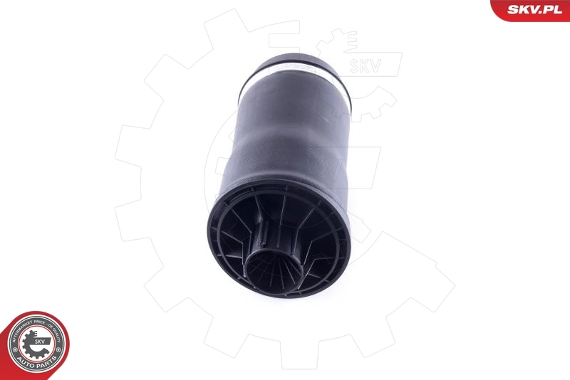 Air Spring, suspension 58SKV025
