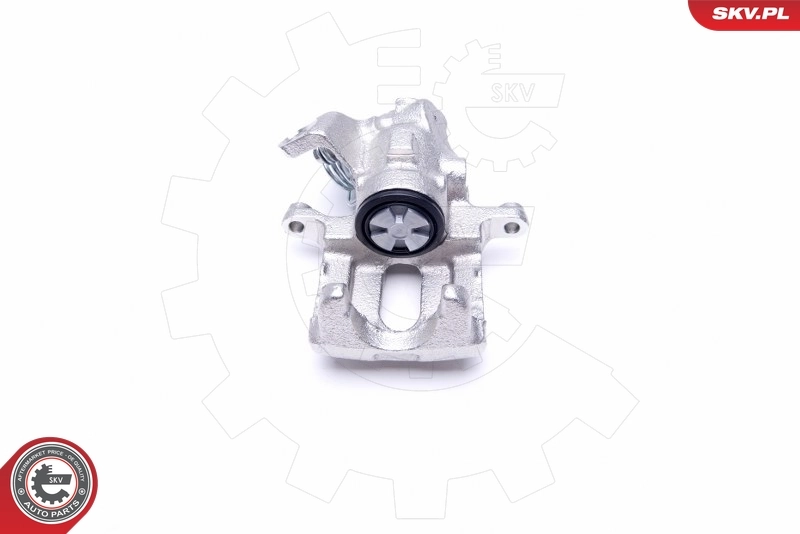 Brake Caliper 45SKV933