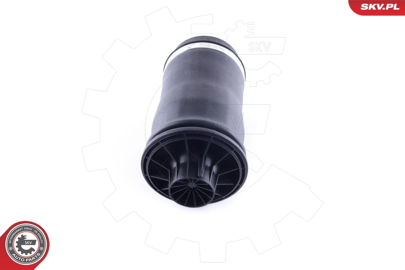 Air Spring, suspension 58SKV020