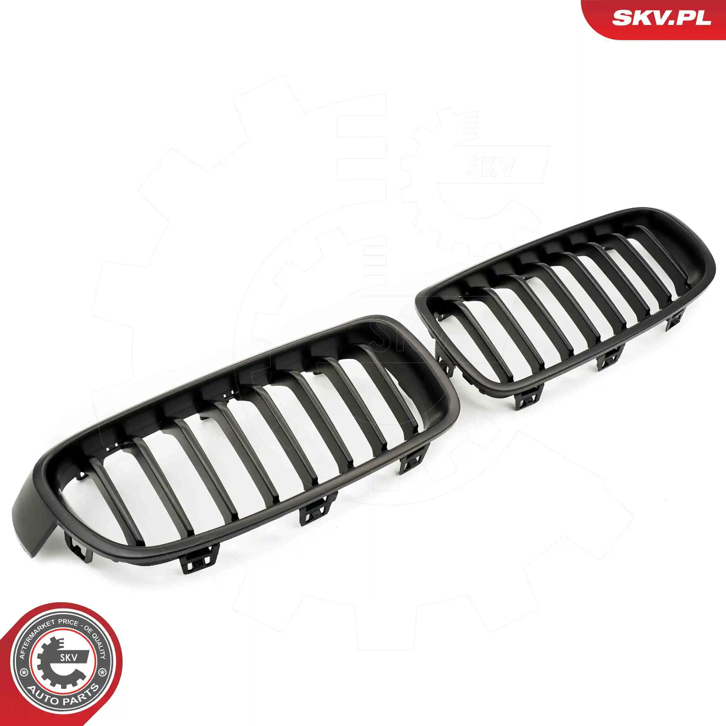 Radiator Grille 66SKV121