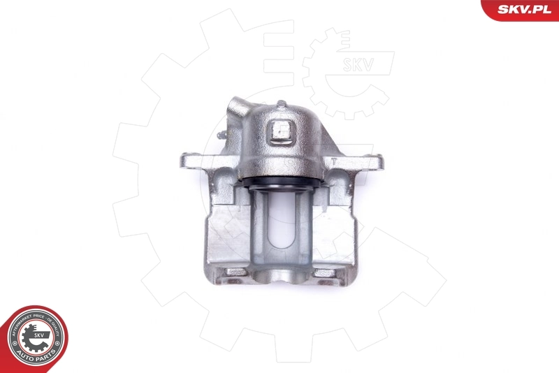 Brake Caliper 42SKV961