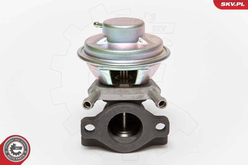 EGR Valve 14SKV062