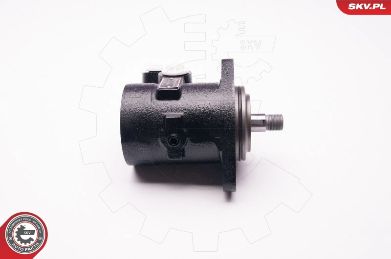 ESEN SKV 1SKV0013 Hydraulic Pump, steering