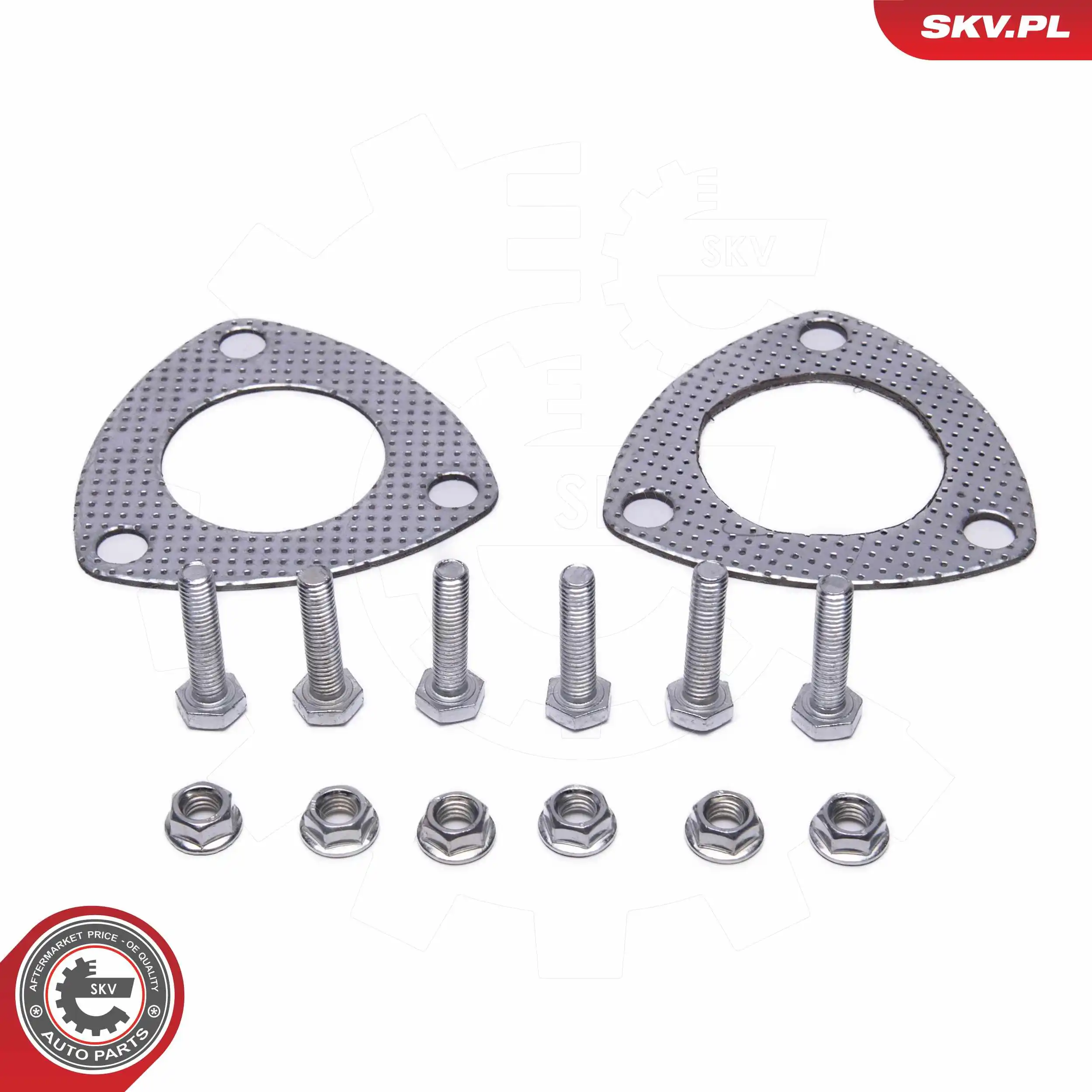 ESEN SKV 62SKV063 Catalytic Converter