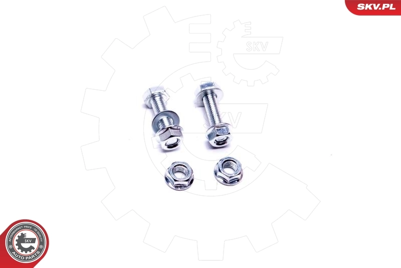 Catalytic Converter 62SKV004