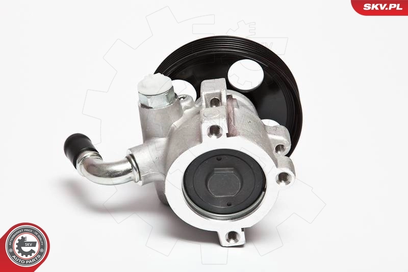 Hydraulic Pump, steering 10SKV062