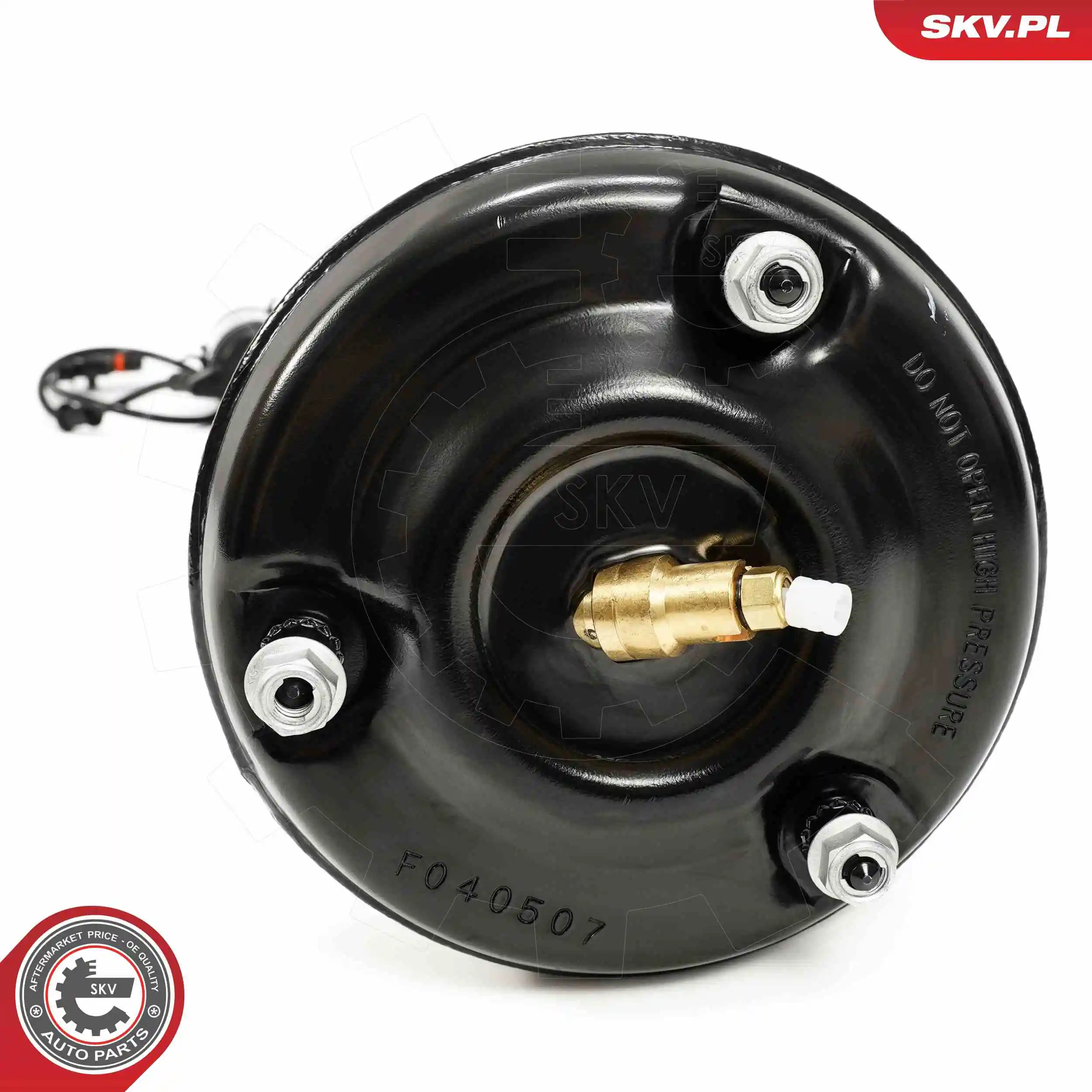 Air Suspension Strut 58SKV718