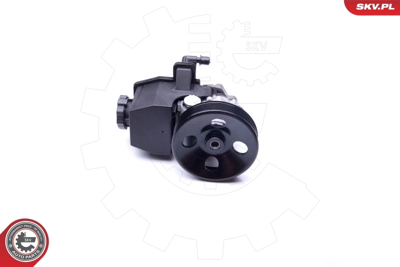 Hydraulic Pump, steering 10SKV269