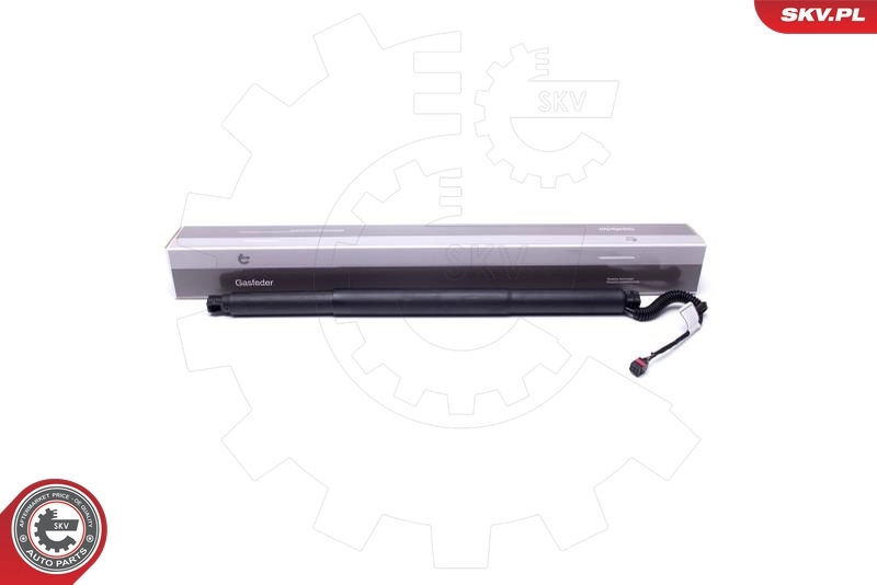 Electric Motor, tailgate 52SKV904