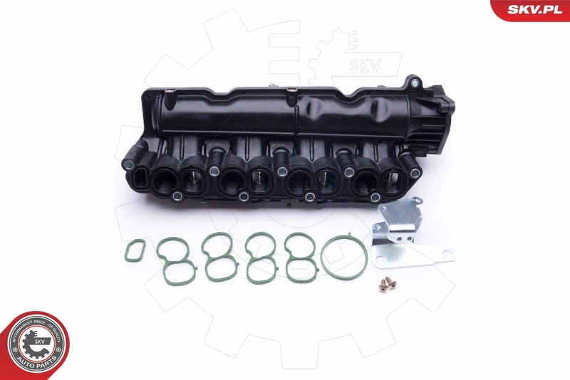 Intake Manifold Module 49SKV005