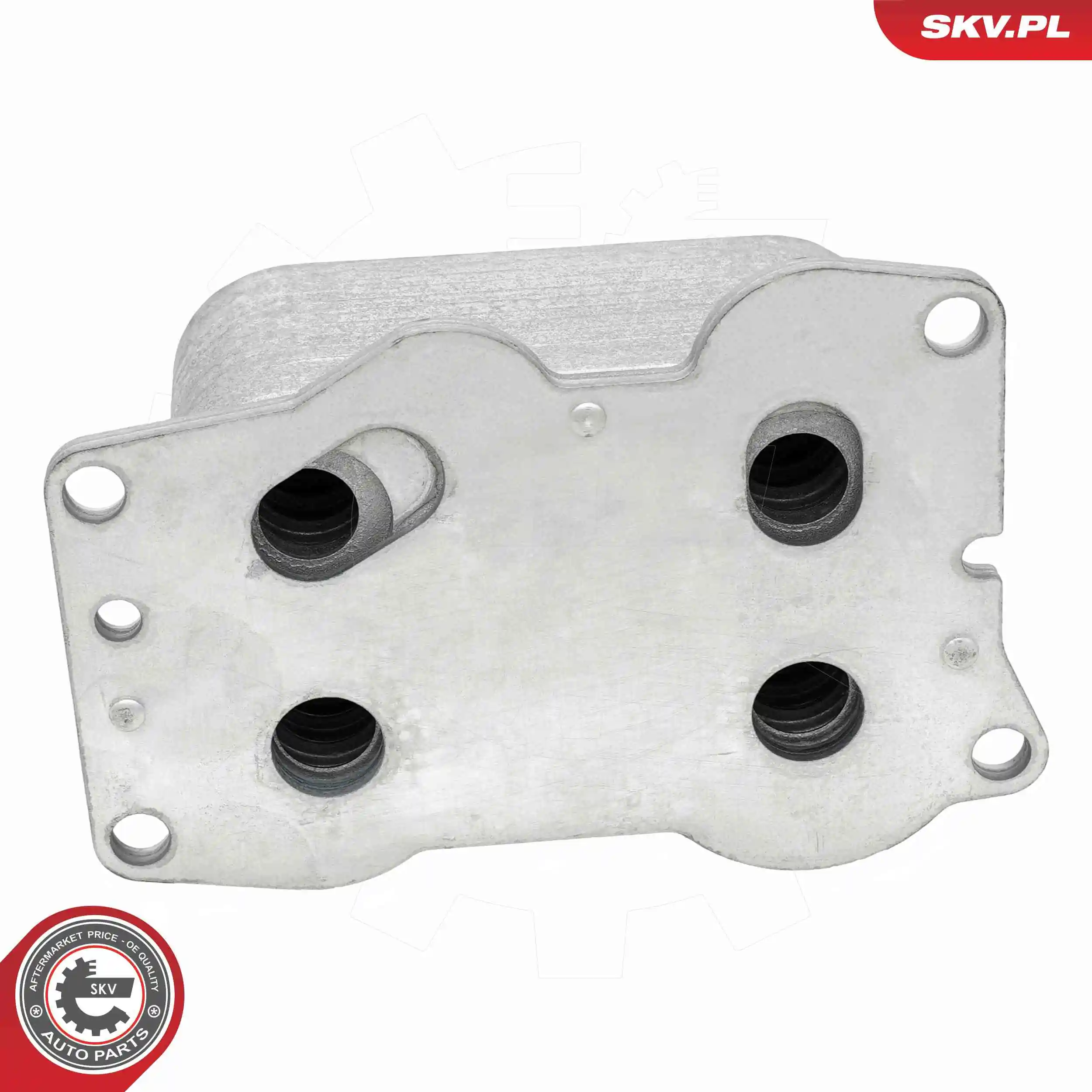 Oil Cooler, engine oil 31SKV382