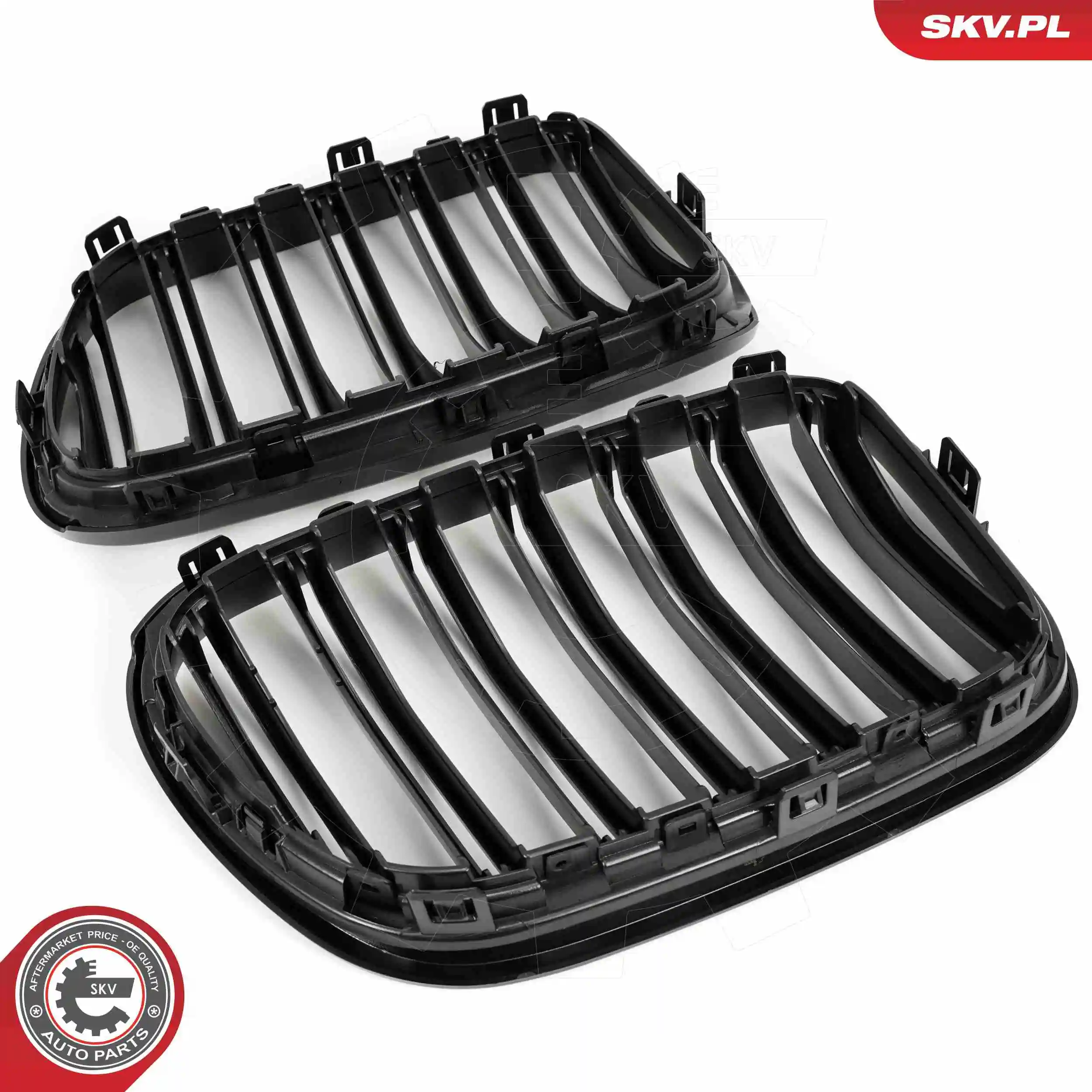 ESEN SKV 66SKV253 Radiator Grille